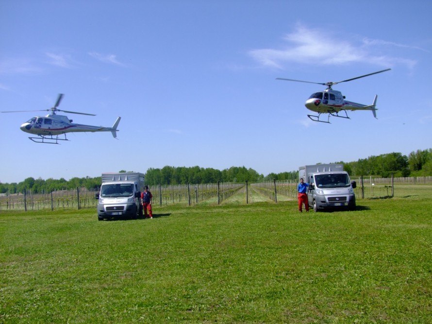 Aviosuperficie airfield friuli 10 890x667 Laviosuperficie e campo volo di Codroipo in Friuli