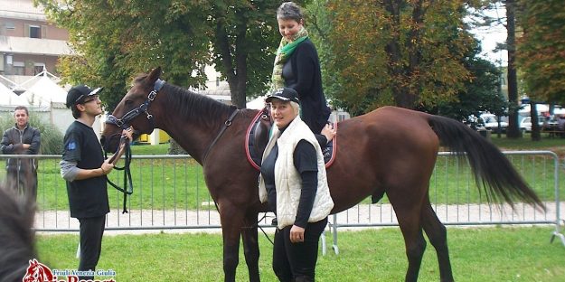 equitazione-educativa-codroipo-02