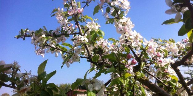 10384056_10152947627083305_5016086502709031064_n