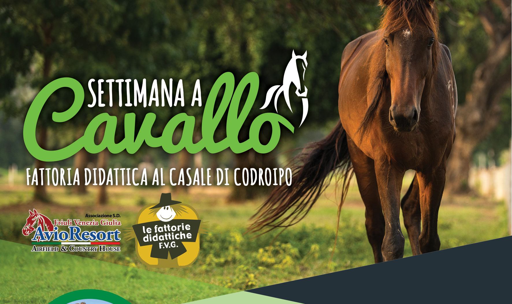 Settimana a cavallo 2020 hero Agriturismo Al Casale   Codroipo (UD)