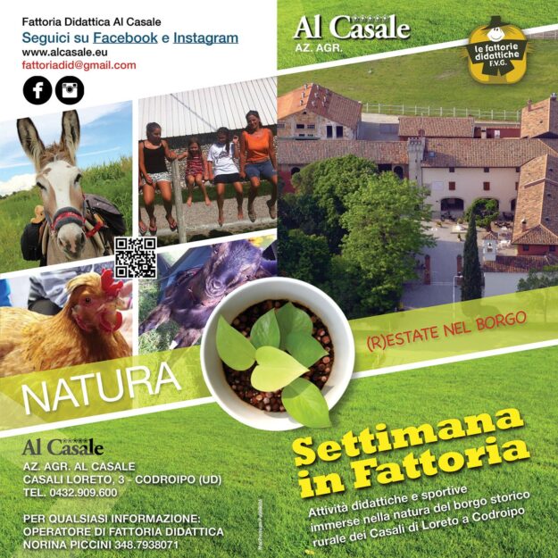 Settimana-Fattoria-Quad