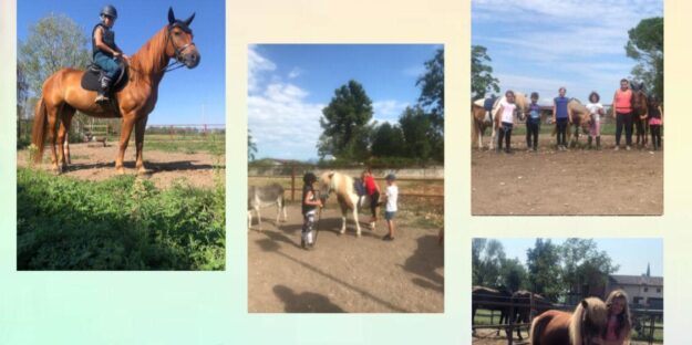 349017728_944653213438949_3551280725336613369_n